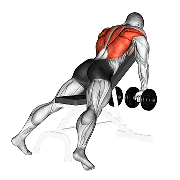 Тяга на скамье под углом 45 градусов (45-Degree Incline Row)