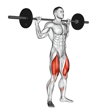 Приседания со штангой (Barbell Squat)