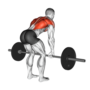 Тяга штанги в наклоне (Barbell Bent-Over Row)