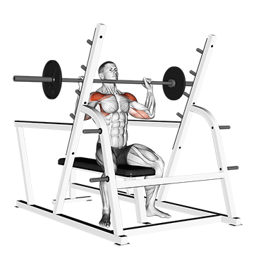 Жим штанги над головой (Barbell Shoulder Press)
