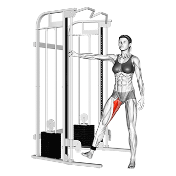 Приведение бедра на блочном тренажере (Cable Hips Adduction)