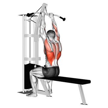 Тяга вниз узким хватом (Close Grip Lat Pulldown)