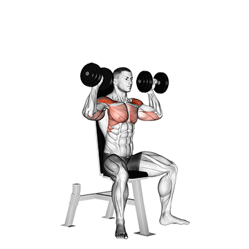 Жим гантелей над головой (Dumbbell Shoulder Press)