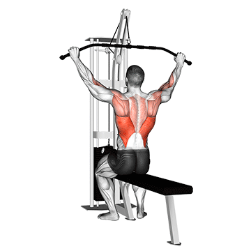 Тяга верхнего блока (Lat Pulldown)