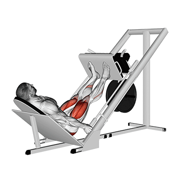 Жим ногами (Leg Press)