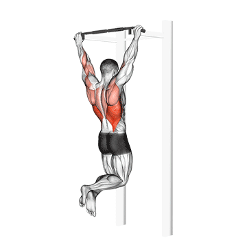 Подтягивания (Pull-up)